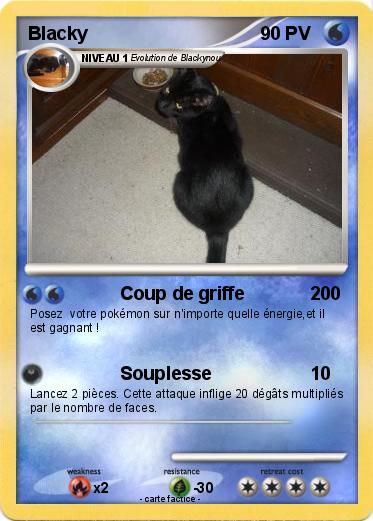 Pokemon Blacky