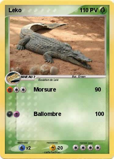 Pokemon Leko