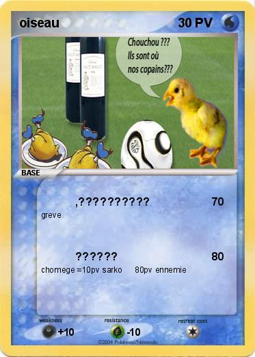 Pokemon oiseau