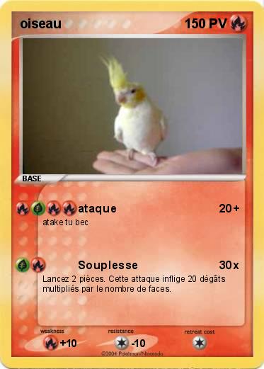Pokemon oiseau