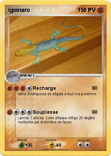 Pokemon igoinaro