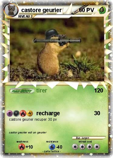 Pokemon castore geurier