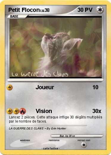 Pokemon Petit Flocon