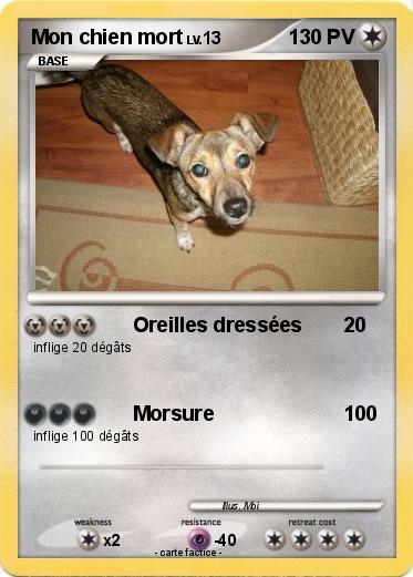Pokemon Mon chien mort