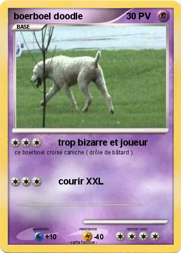 Pokemon boerboel doodle