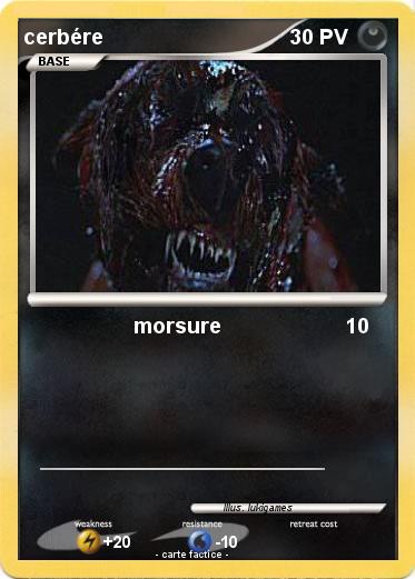 Pokemon cerbére