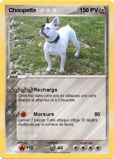 Pokemon Choupette