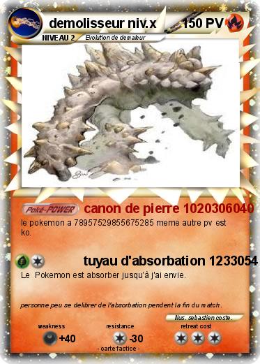 Pokemon demolisseur niv.x
