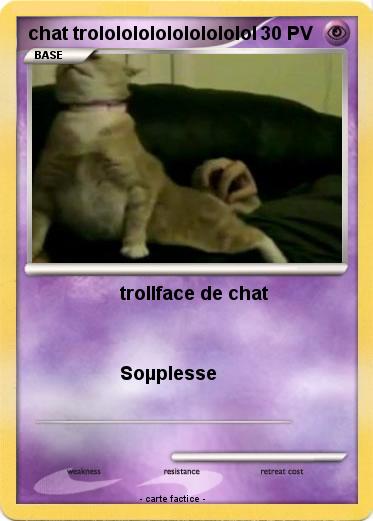 Pokemon chat trolololololololololol