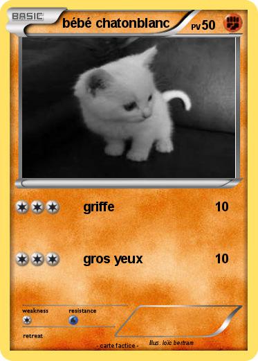Pokemon bébé chatonblanc