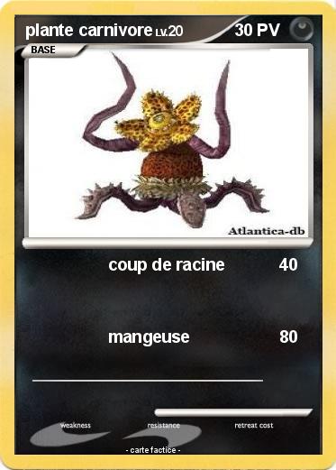Pokemon plante carnivore