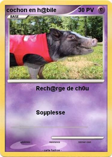 Pokemon cochon en h@bile