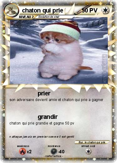 Pokemon chaton qui prie