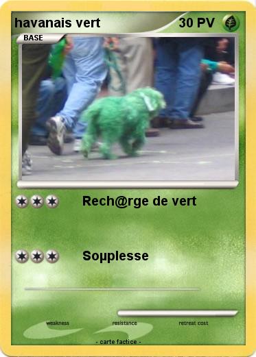 Pokemon havanais vert