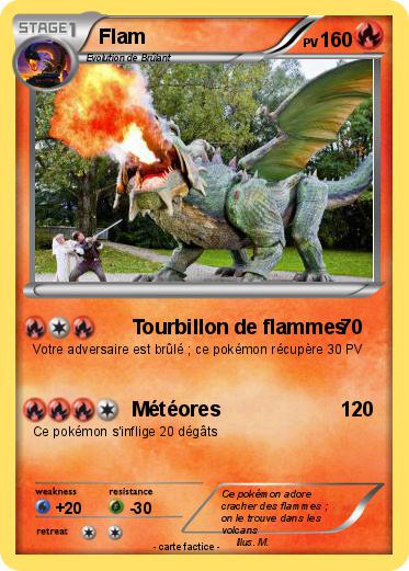 Pokemon Flam