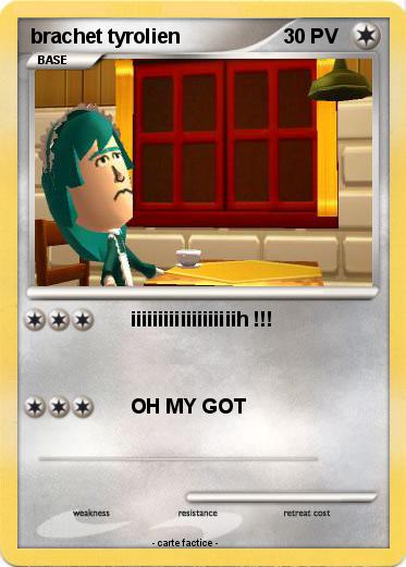 Pokemon brachet tyrolien