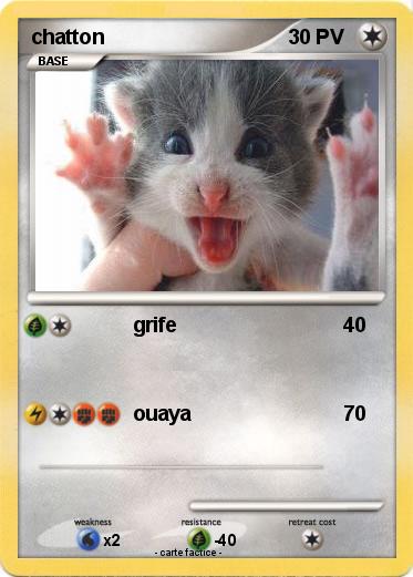 Pokemon chatton