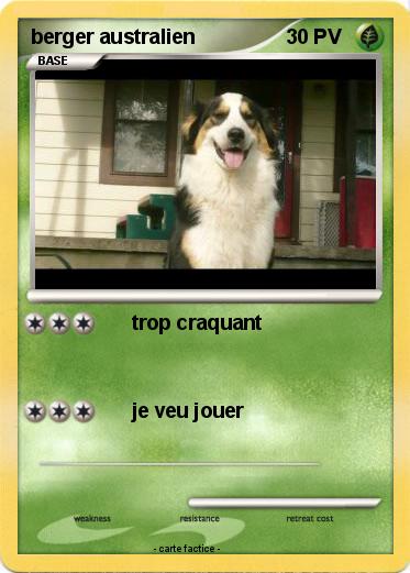 Pokemon berger australien