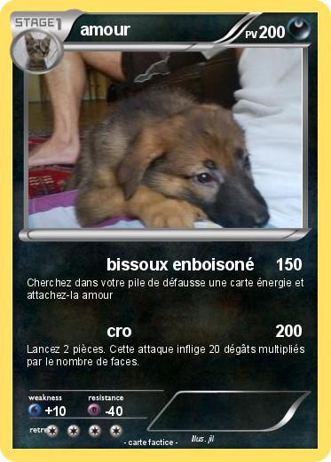 Pokemon amour