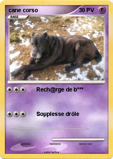 Pokemon cane corso