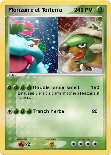 Pokemon Florizarre et Torterra        2