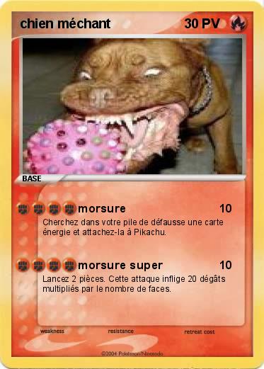 Pokemon chien méchant