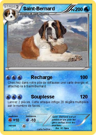 Pokemon Saint-Bernard
