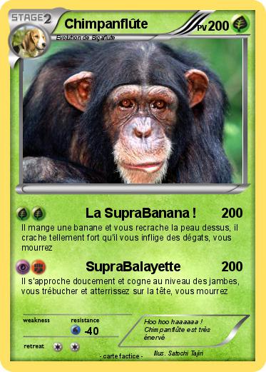 Pokemon Chimpanflûte