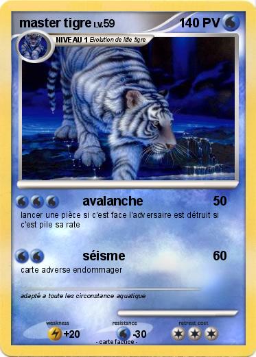 Pokemon master tigre