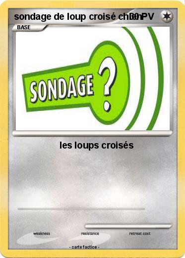 Pokemon sondage de loup croisé chien