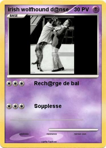 Pokemon irish wolfhound d@nse