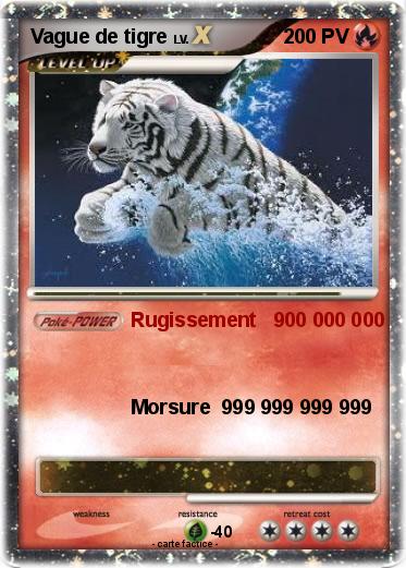 Pokemon Vague de tigre
