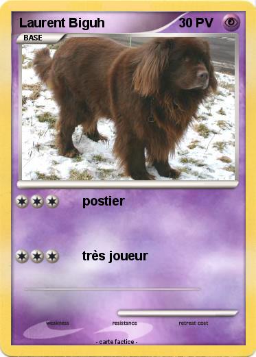 Pokemon Laurent Biguh