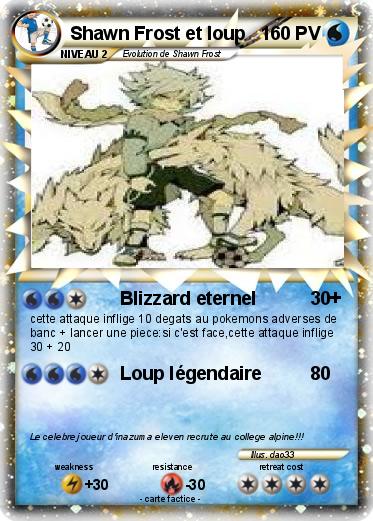 Pokemon Shawn Frost et loup