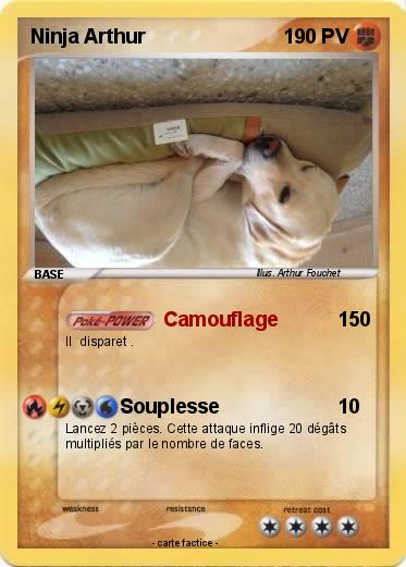 Pokemon Ninja Arthur