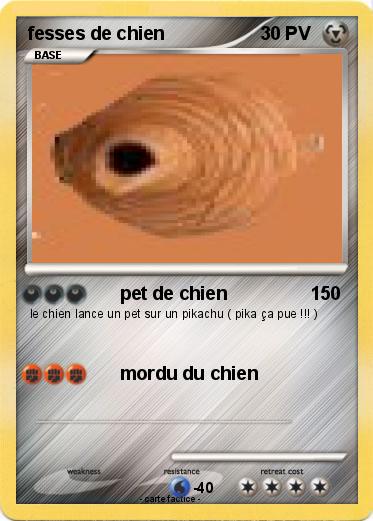 Pokemon fesses de chien