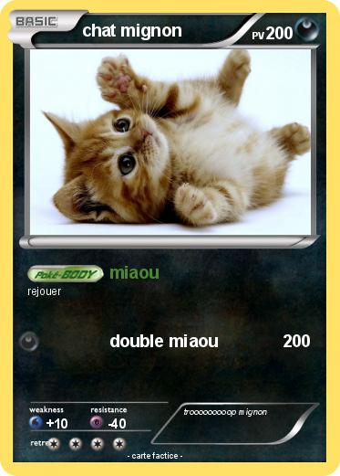 Pokemon chat mignon