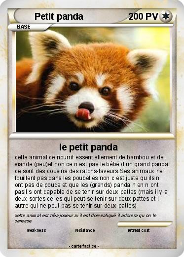Pokemon Petit panda
