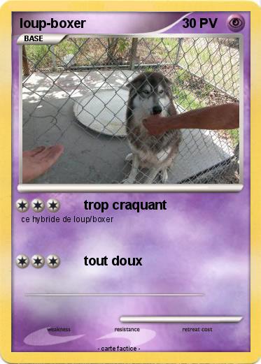 Pokemon loup-boxer