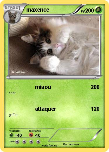 Pokemon maxence
