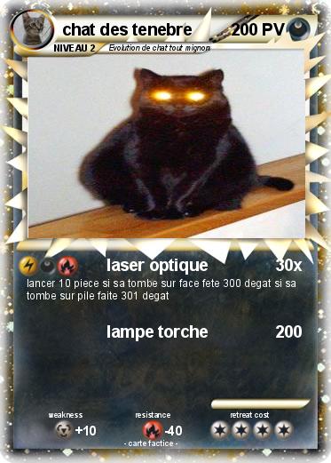 Pokemon chat des tenebre