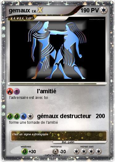 Pokemon gemaux