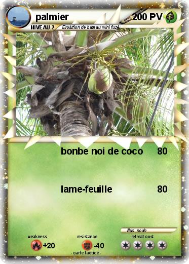 Pokemon palmier