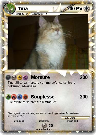 Pokemon Tina