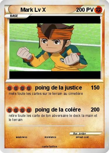 Pokemon Mark Lv X