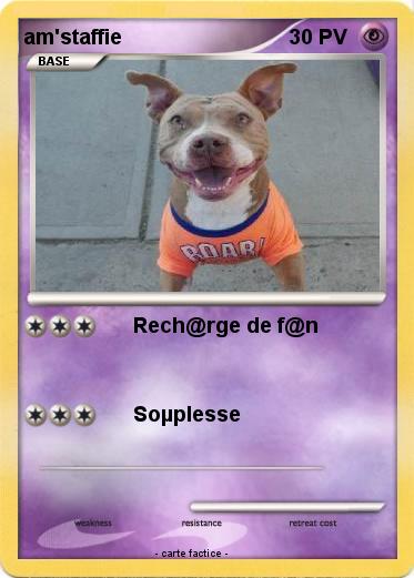 Pokemon am'staffie