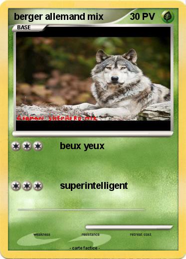 Pokemon berger allemand mix