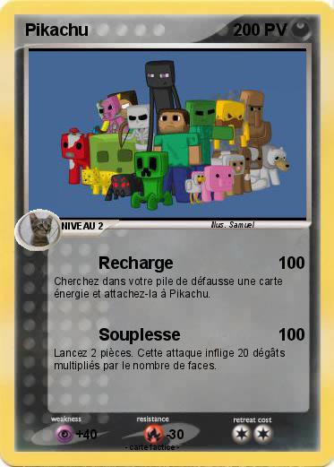 Pokemon Famille DAMON