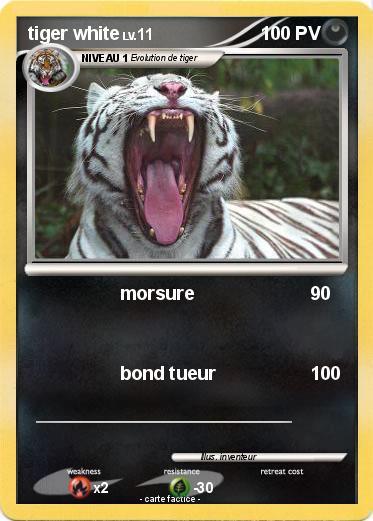 Pokemon tiger white