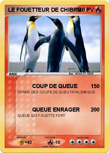 Pokemon LE FOUETTEUR DE CHIBRE